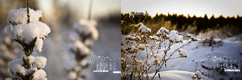 http://img40.xooimage.com/files/1/6/d/takvim-1721e10.gif