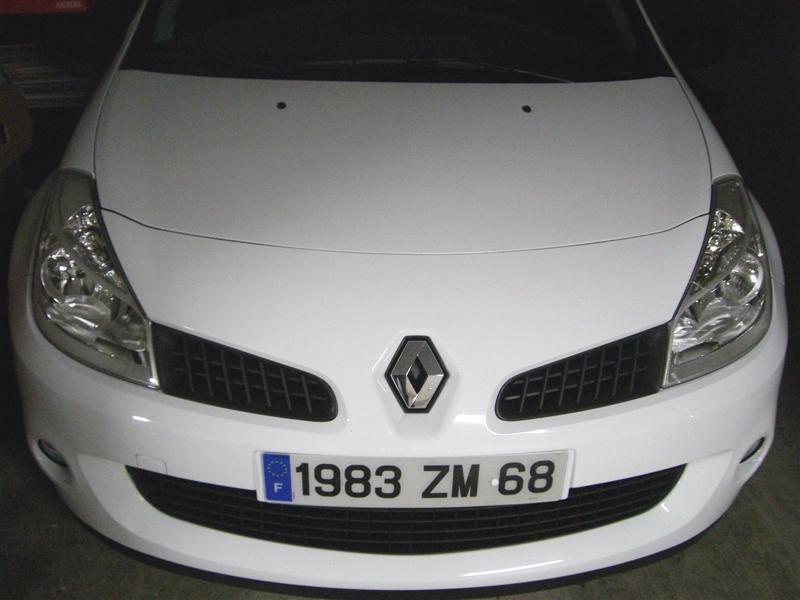 http://img40.xooimage.com/files/2/1/4/silvervision-clio...3-medium--e5b1ab.jpg