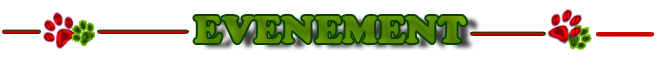 Evenement