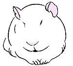 Forum d'aide pour les petits animaux de compagnie Forum Index