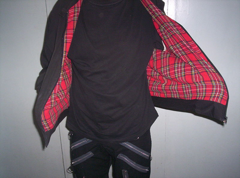 Image: 800px-modpunk06-77fea7.jpg