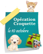 Opération croquette
