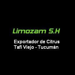 zoomtemplate.com