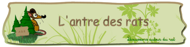 L'antre des rats