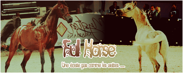 FULL HORSE