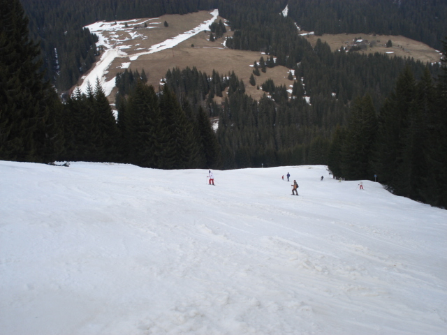 Chevreuil / Megève Jaillet Dsc03913-8564f4
