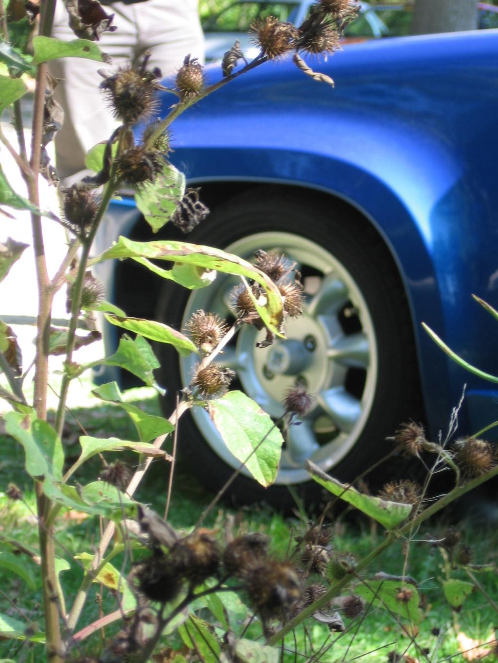http://img40.xooimage.com/files/a/b/f/sortie-clio-rs-038-6698c9.jpg