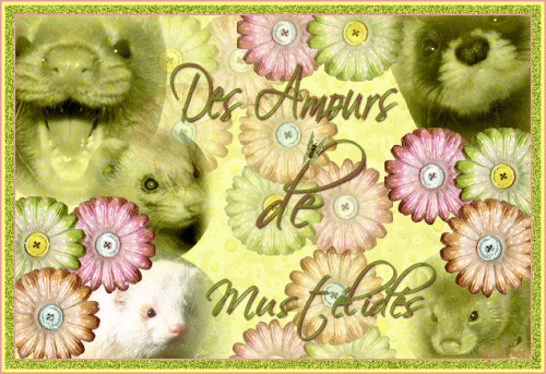 Des Amours de Mustélidés