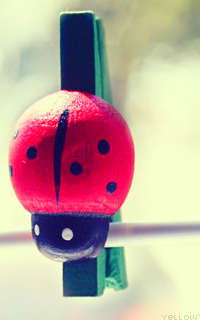 Yellow`